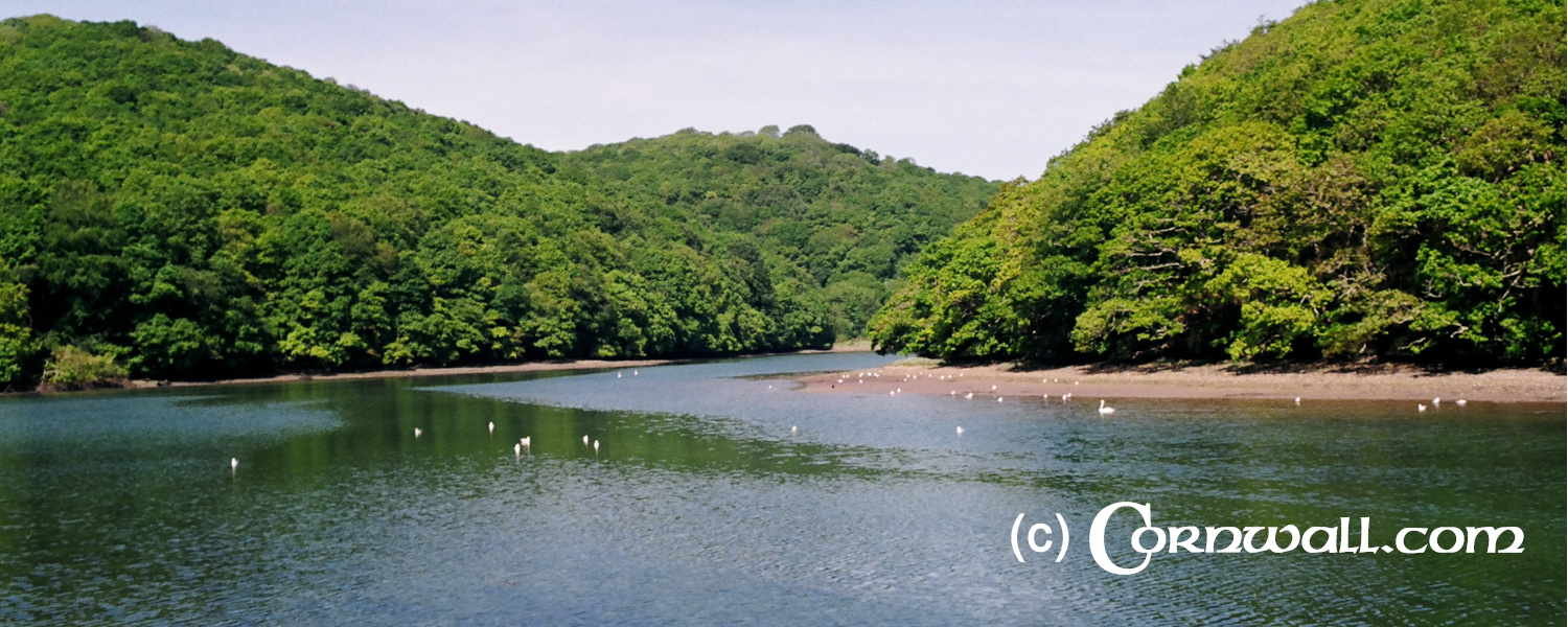 Looe river