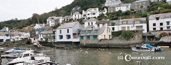 Polperro Harbour