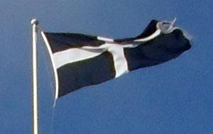 St Piran's Flag