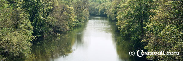 River Tamar from Gunnislake bridge