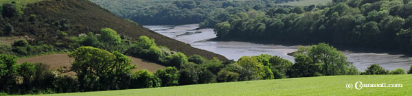 Helford River view