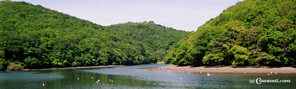 Looe river