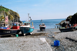Cadgwith boats