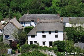 Cadgwith houses