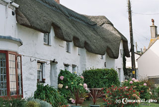 Coverack cottages