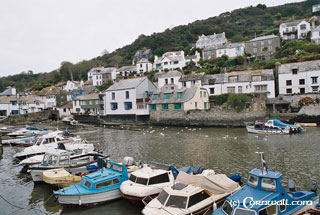 Polperro harbour view