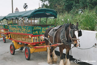 Polperro horse taxi